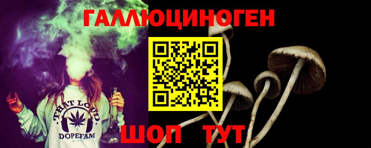 Псилоцибиновые грибы мухоморы  Вход с VPN  Донской 