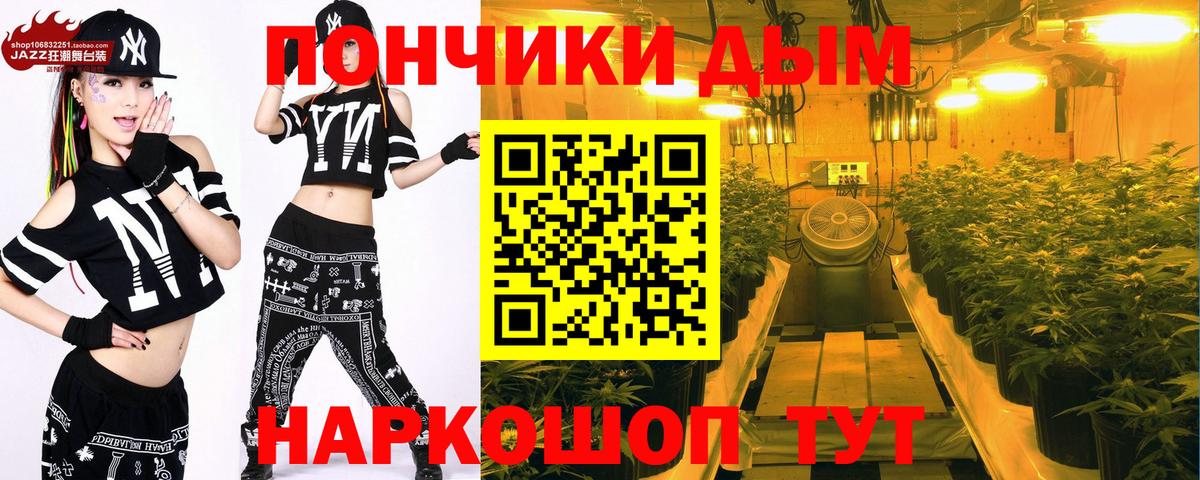 Конопля SATIVA & INDICA Донской